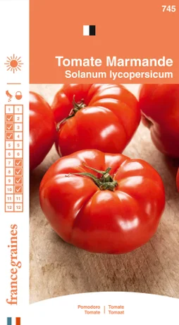 Tomate marmande