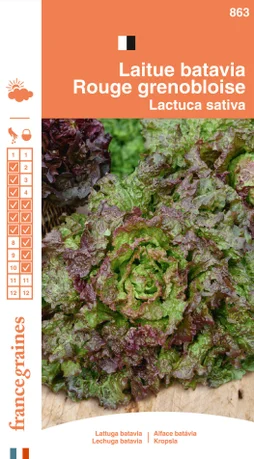 Sachet graines laitue batavia rouge grenobloise, FRANCE GRAINES, 3 g