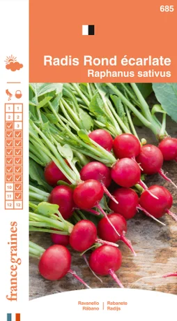 Sachet graines radis rond écarlate, FRANCE GRAINES, 8 g