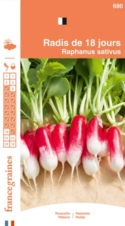 Sachet graines radis de 18 jours, FRANCE GRAINES, 8 g
