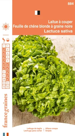 Sachet graines laitue,feuille de chêne blonde à graine noire, FRANCE GRAINES, 3 g