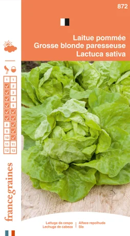 Sachet graines laitue pommée grosse blonde paresseuse, FRANCE GRAINE,S 3 g