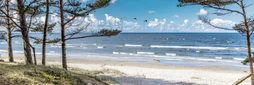 Toile imprimée Baie, CEANOTHE 30 x 97 cm