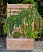 Carre potager MON PETIT POTAGER naturel L.  75 x L.  35 x H. 136 cm