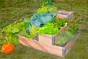 Carre potager MON PETIT POTAGER naturel L.  100 x L.  95 x H. 54 cm