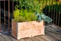 Carre potager MON PETIT POTAGER naturel L.  75 x L.  5 x  H.36 cm