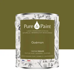Peinture goemon mur, plafond et boiserie , PURE  PAINT velours 2.5 l