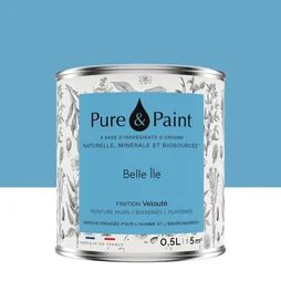 Peinture belle ile mur, plafond et boiserie , PURE  PAINT velours 0.5 l