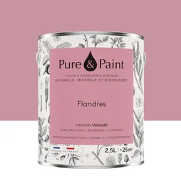 Peinture flandres mur, plafond et boiserie , PURE  PAINT velours 2.5 l
