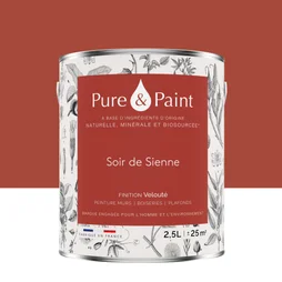 Peinture soir de sienne mur, plafond et boiserie , PURE  PAINT velours 2.5 l