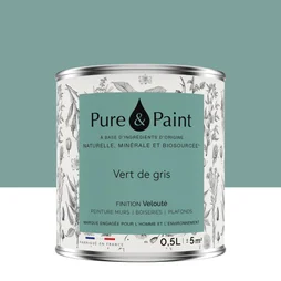 Peinture vert de gris mur, plafond et boiserie , PURE  PAINT velours 0.5 l