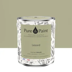 Peinture lezard mur, plafond et boiserie , PURE  PAINT velours 2.5 l