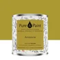 Peinture amazonie mur, plafond et boiserie , PURE  PAINT velours 0.5 l