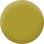 Peinture amazonie mur, plafond et boiserie , PURE  PAINT velours 0.5 l