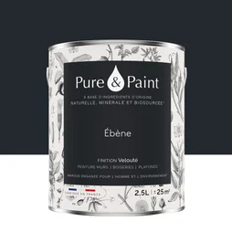 Peinture ebene mur, plafond et boiserie , PUREPAINT velours 2.5 l
