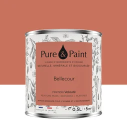 Peinture bellecour mur, plafond et boiserie , PURE  PAINT velours 0.5 l