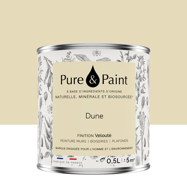 Peinture dune mur, plafond et boiserie , PURE  PAINT velours 0.5 l