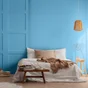 Peinture belle ile mur, plafond et boiserie , PURE  PAINT velours 2.5 l