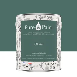 Peinture olivier mur, plafond et boiserie , PURE  PAINT velours 2.5 l
