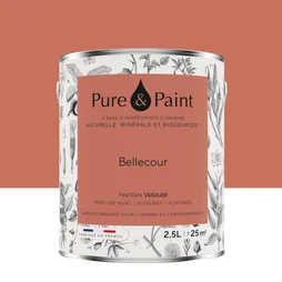 Peinture bellecour mur, plafond et boiserie , PURE  PAINT velours 2.5 l