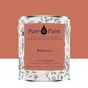 Peinture bellecour mur, plafond et boiserie , PURE  PAINT velours 2.5 l