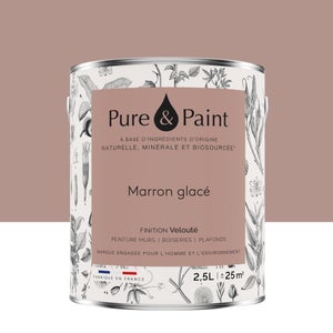 Peinture marron glace mur, plafond et boiserie , PURE  PAINT velours 2.5 l