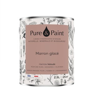 Peinture marron glace mur, plafond et boiserie , PURE  PAINT velours 2.5 l