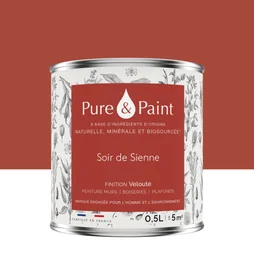 Peinture soir de sienne mur, plafond et boiserie , PURE  PAINT velours 0.5 l