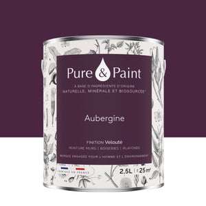 Peinture aubergine mur, plafond et boiserie , PURE  PAINT velours 2.5 l