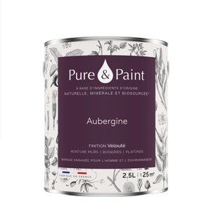 Peinture aubergine mur, plafond et boiserie , PURE  PAINT velours 2.5 l