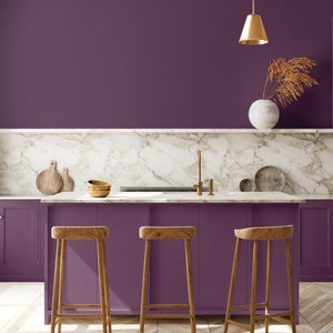 Peinture aubergine mur, plafond et boiserie , PURE  PAINT velours 2.5 l