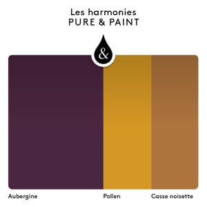 Peinture aubergine mur, plafond et boiserie , PURE  PAINT velours 2.5 l