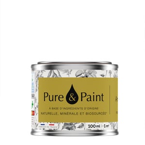 Testeur peinture amazonie velours , PURE  PAINT 100 ml