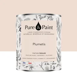 Peinture plumetis mur, plafond et boiserie , PURE  PAINT velours 2.5 l