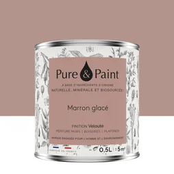 Peinture marron glace mur, plafond et boiserie , PURE  PAINT velours 0.5 l