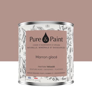 Peinture marron glace mur, plafond et boiserie , PURE  PAINT velours 0.5 l