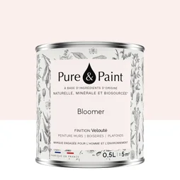 Peinture bloomer mur, plafond et boiserie , PURE  PAINT velours 0.5 l