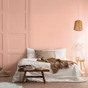 Peinture roseus mur, plafond et boiserie , PURE  PAINT velours 0.5 l