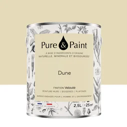 Peinture dune mur, plafond et boiserie , PURE  PAINT velours 2.5 l