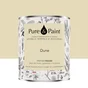 Peinture dune mur, plafond et boiserie , PURE  PAINT velours 2.5 l