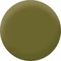 Peinture goemon mur, plafond et boiserie , PURE  PAINT velours 0.5 l