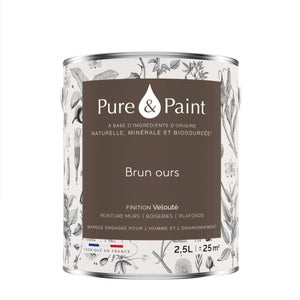 Peinture brun ours mur, plafond et boiserie , PURE  PAINT velours 2.5 l