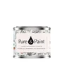 Testeur peinture bloomer velours , PURE  PAINT 100 ml