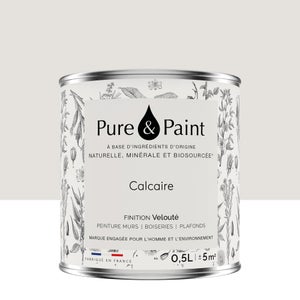 Peinture calcaire mur, plafond et boiserie , PURE  PAINT velours 0.5 l