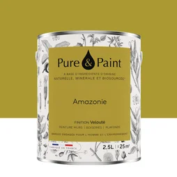 Peinture amazonie mur, plafond et boiserie , PURE  PAINT velours 2.5 l