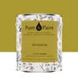Peinture amazonie mur, plafond et boiserie , PURE  PAINT velours 2.5 l