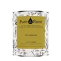 Peinture amazonie mur, plafond et boiserie , PURE  PAINT velours 2.5 l