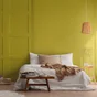 Peinture amazonie mur, plafond et boiserie , PURE  PAINT velours 2.5 l
