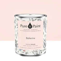 Peinture ballerine mur, plafond et boiserie , PURE  PAINT velours 2.5 l