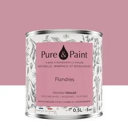 Peinture flandres mur, plafond et boiserie , PURE  PAINT velours 0.5 l